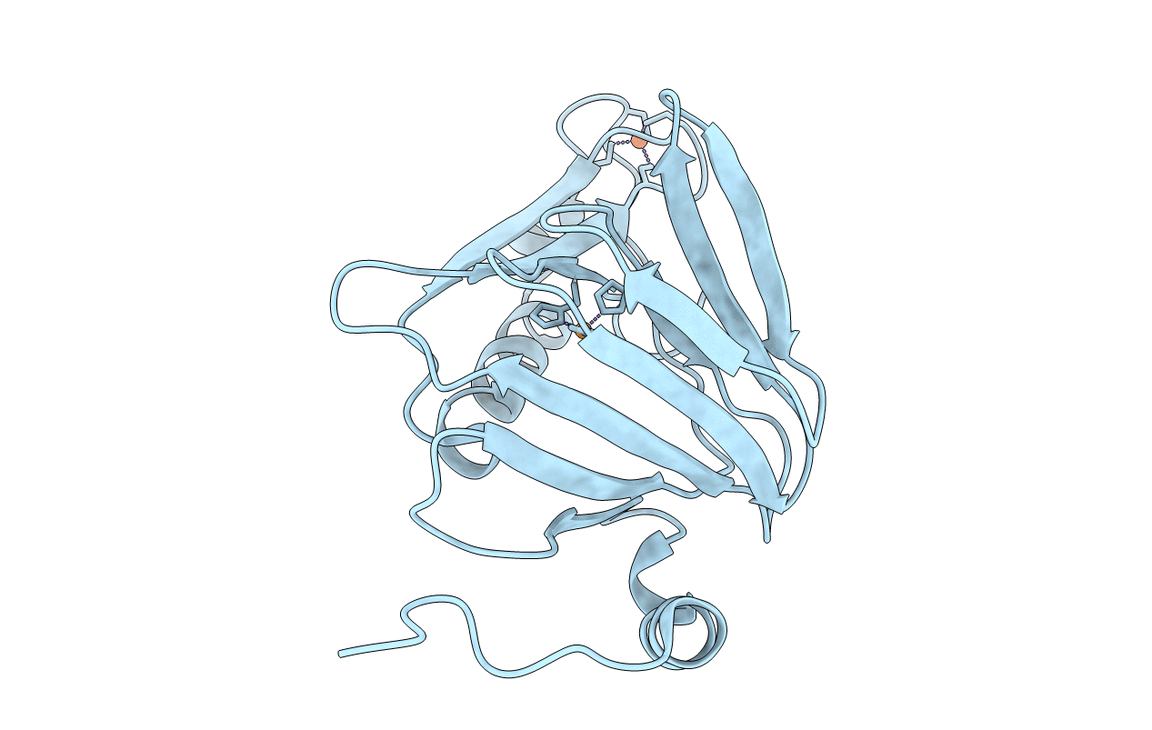 4HVO image