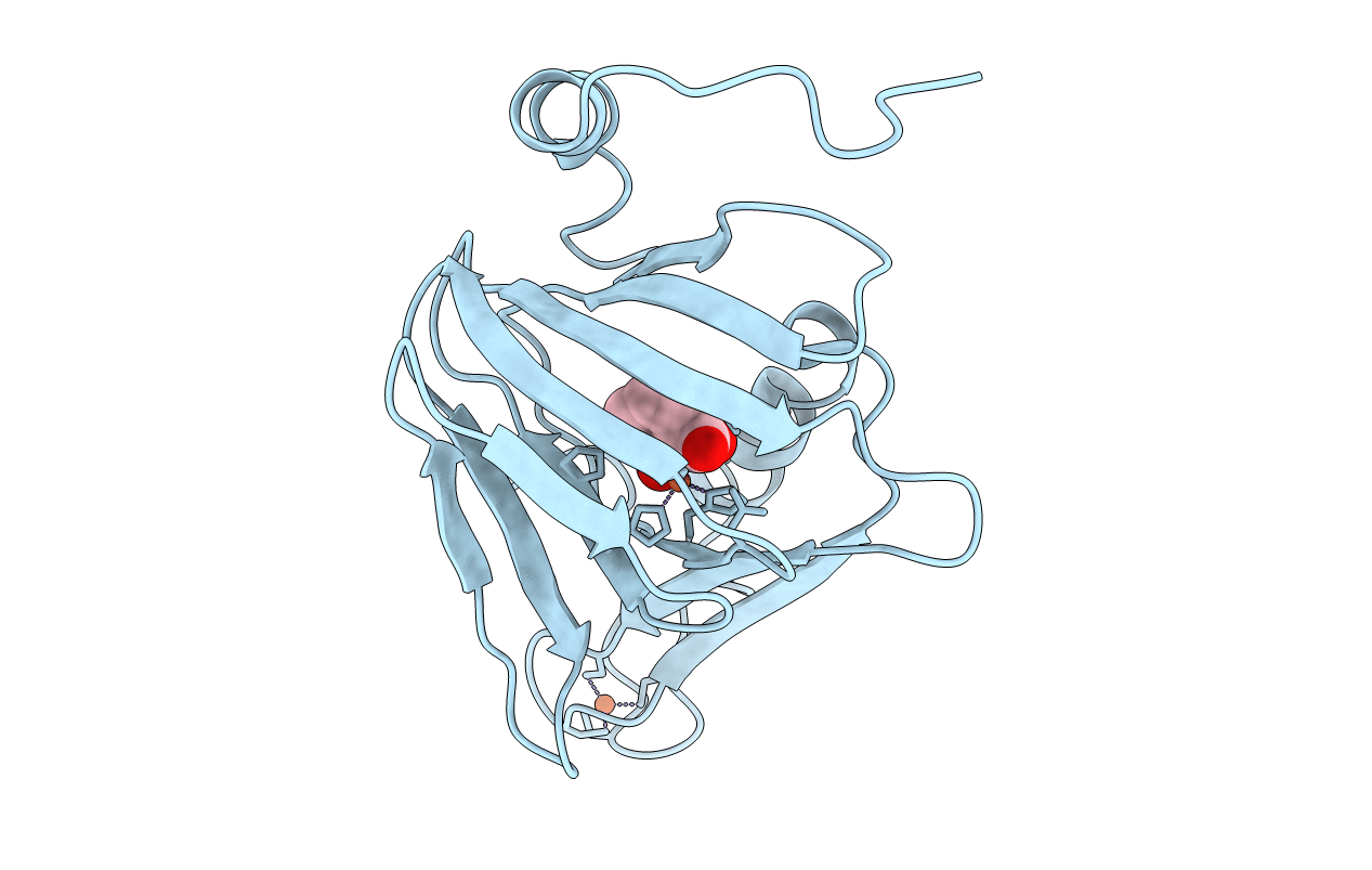 4HVR image