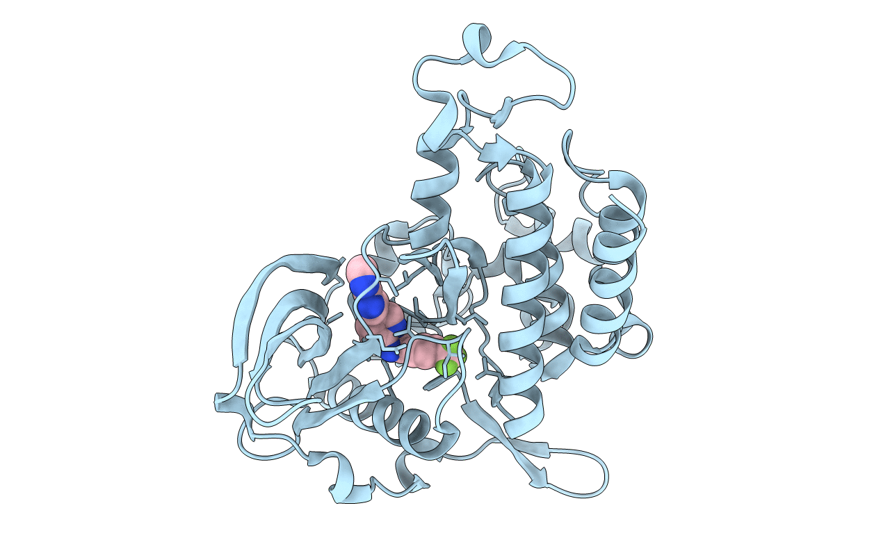 4HVS image