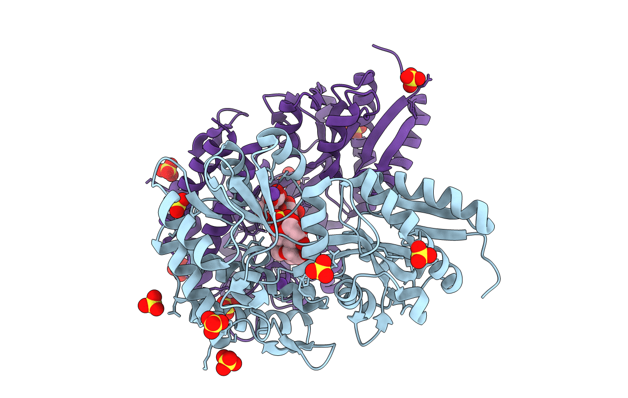 4HW8 image