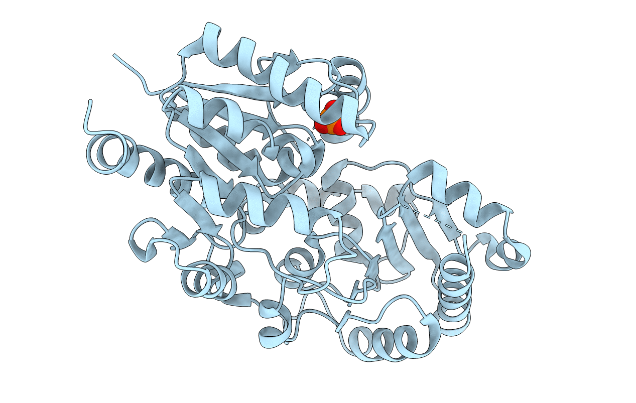 4HWG image