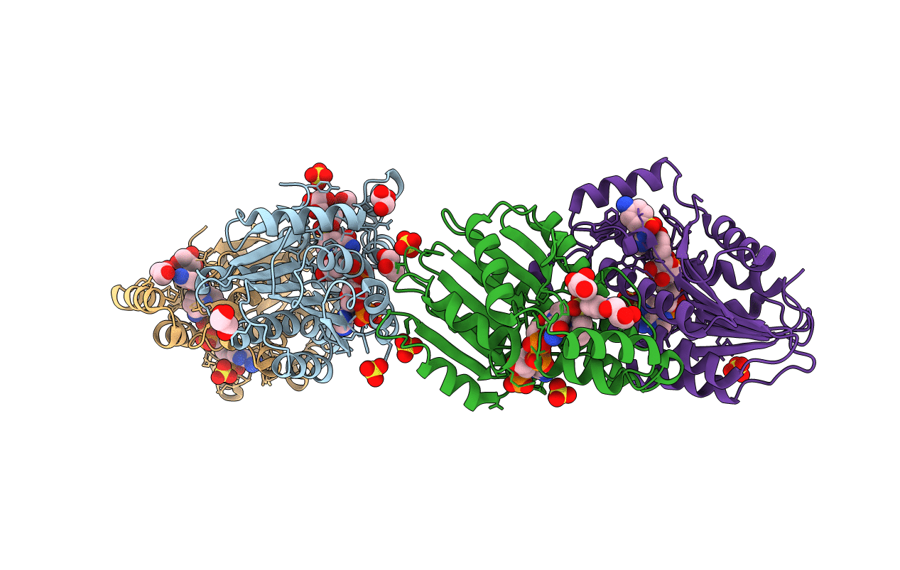 4HWK image