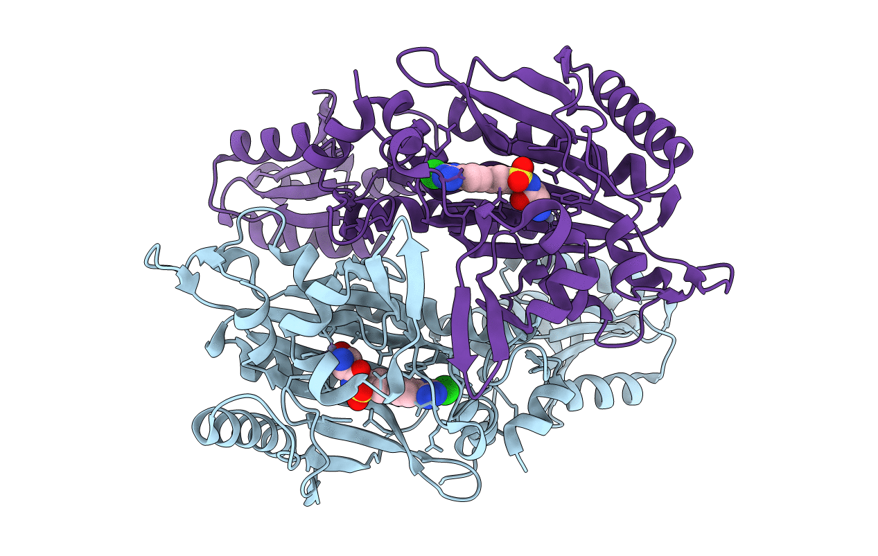 4HWS image