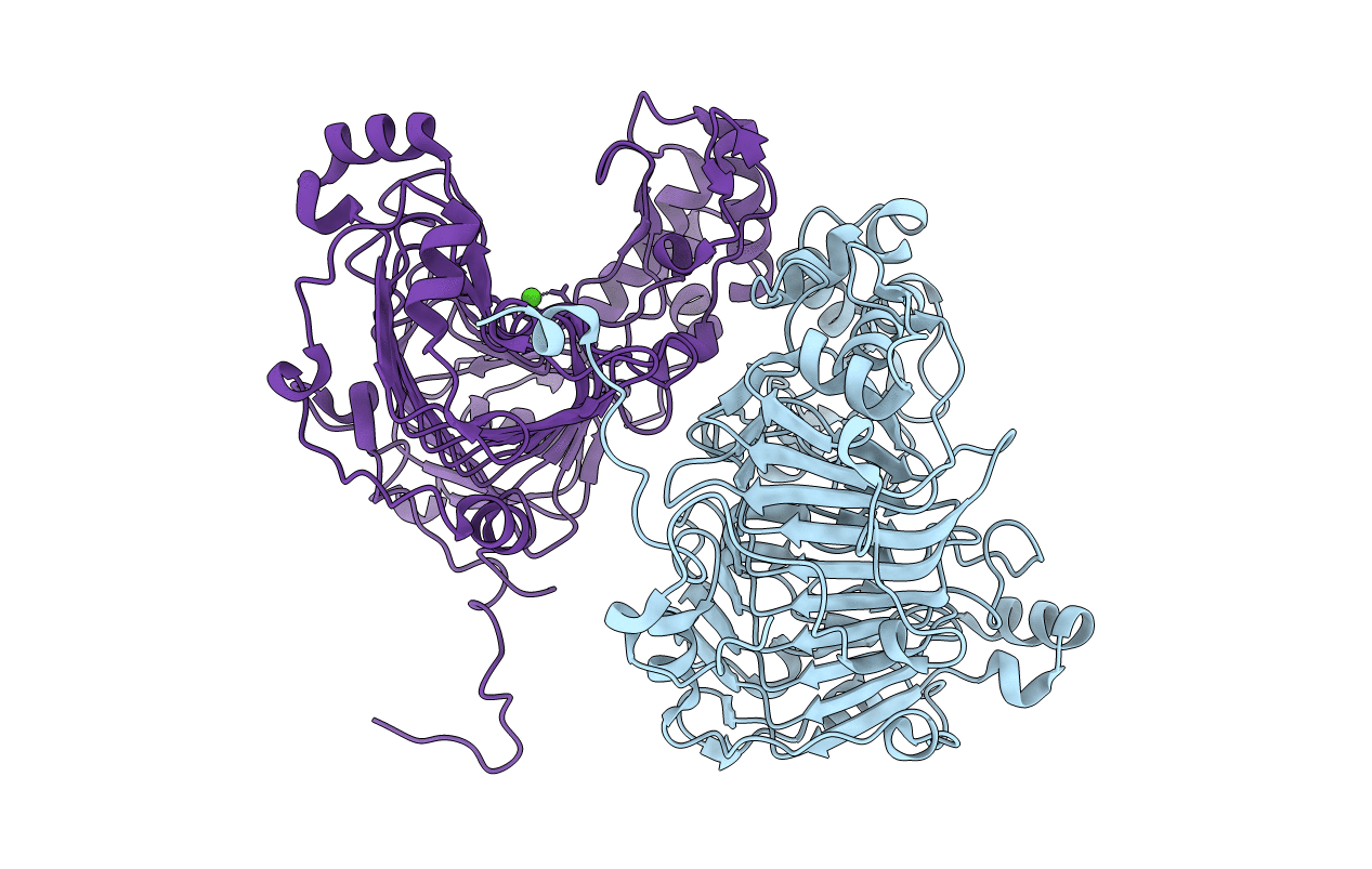 4HWV image