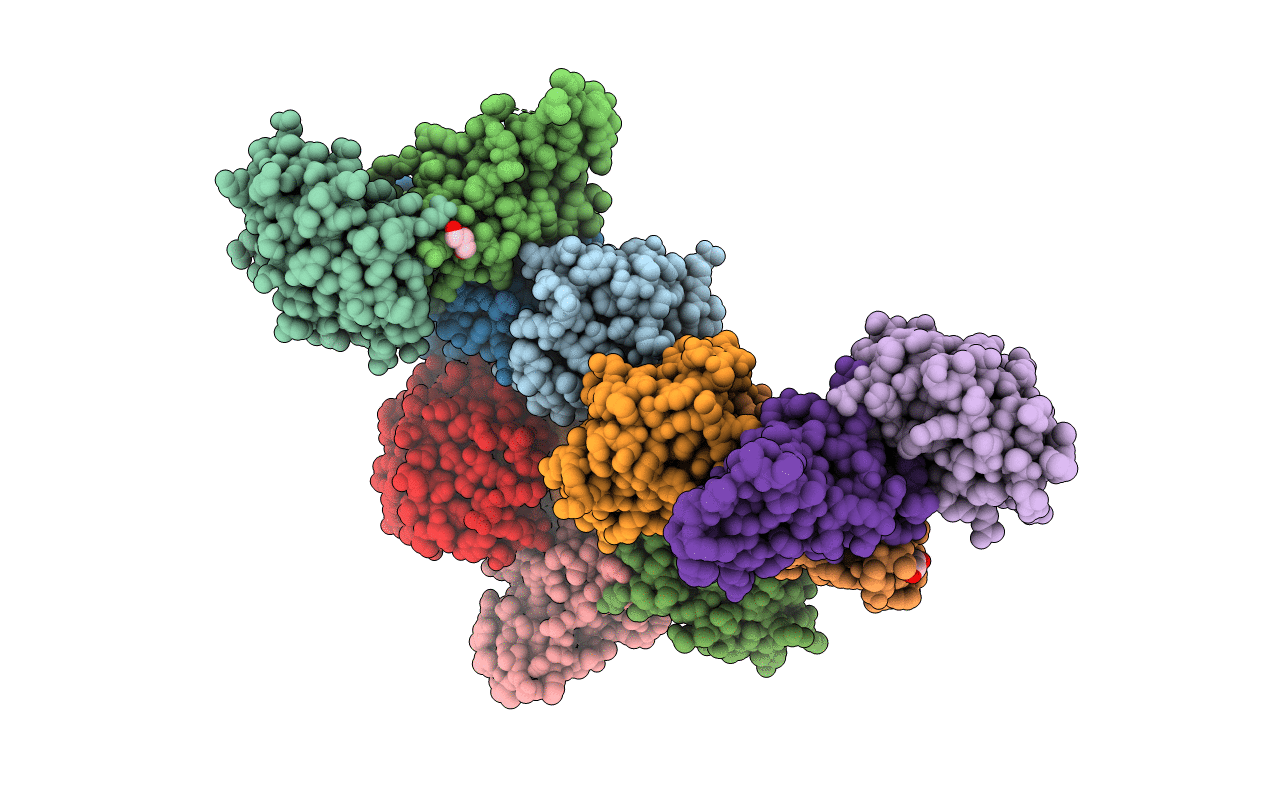 4HX3 image