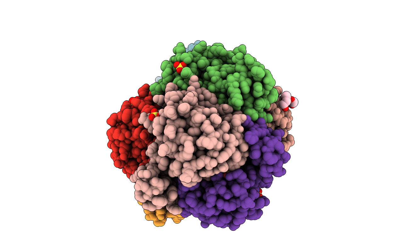 4HX9 image