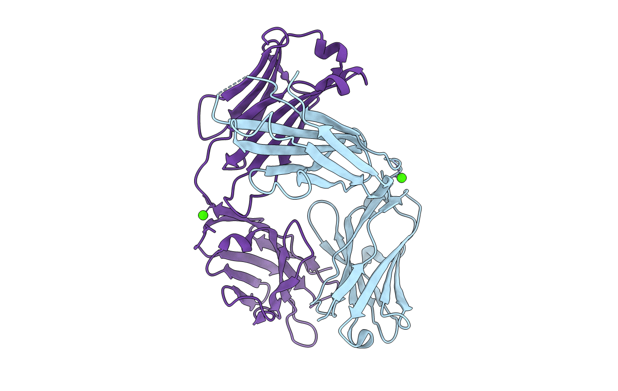 4HXB image