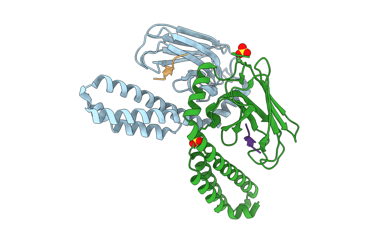 4HYB image