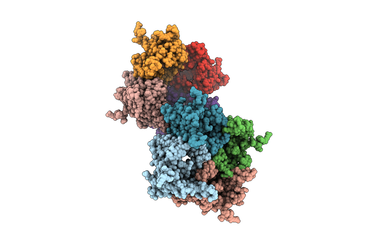 4HYC image