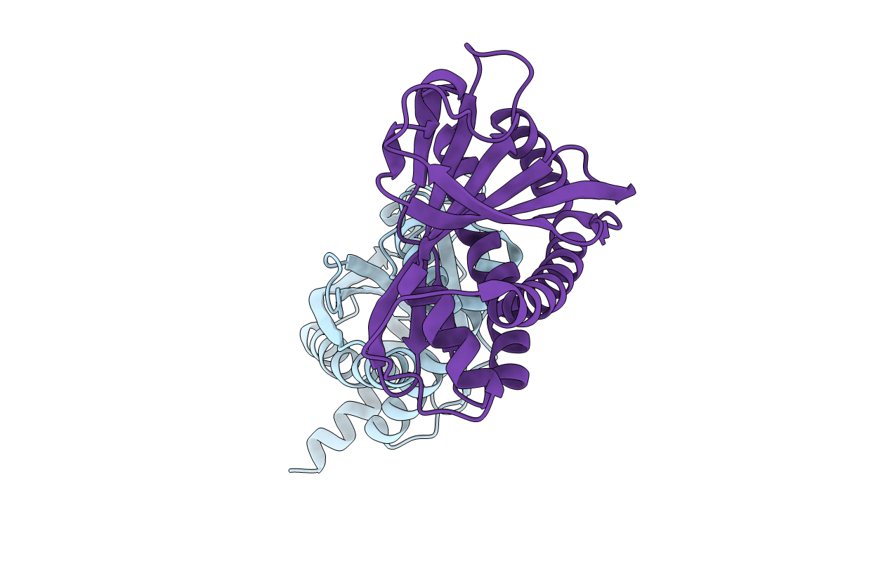 4HYN image