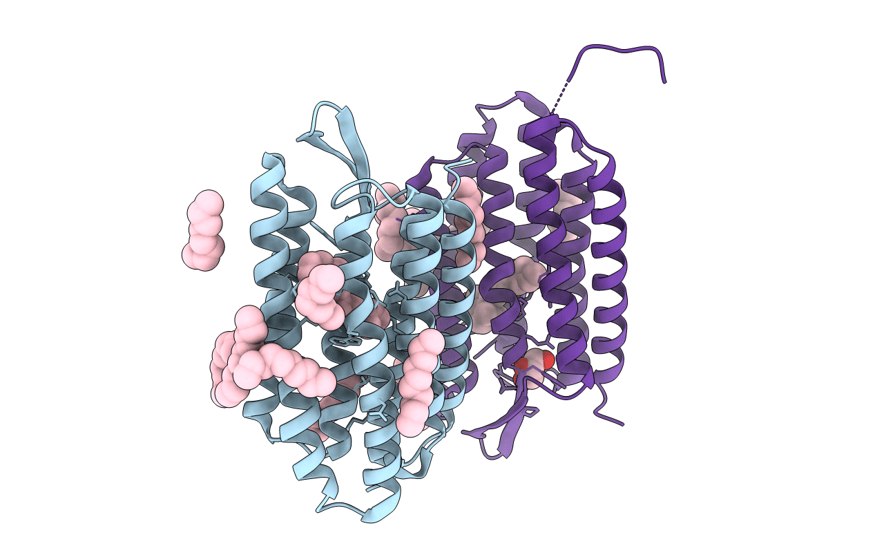 4HYX image