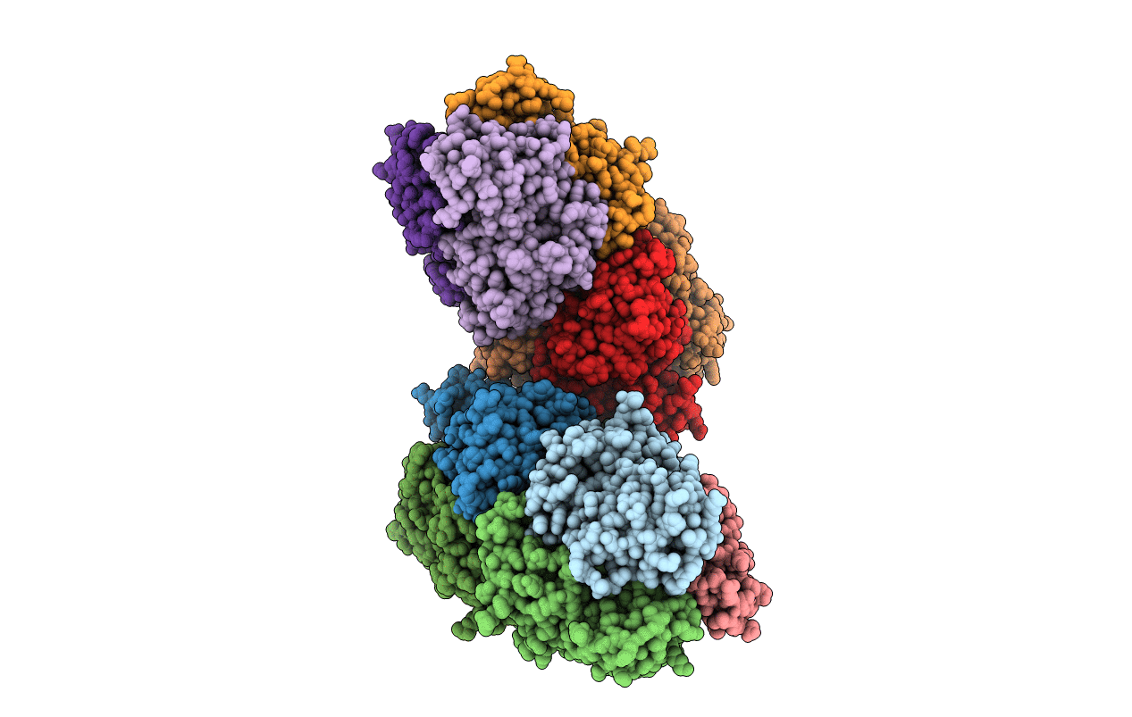 4HZC image