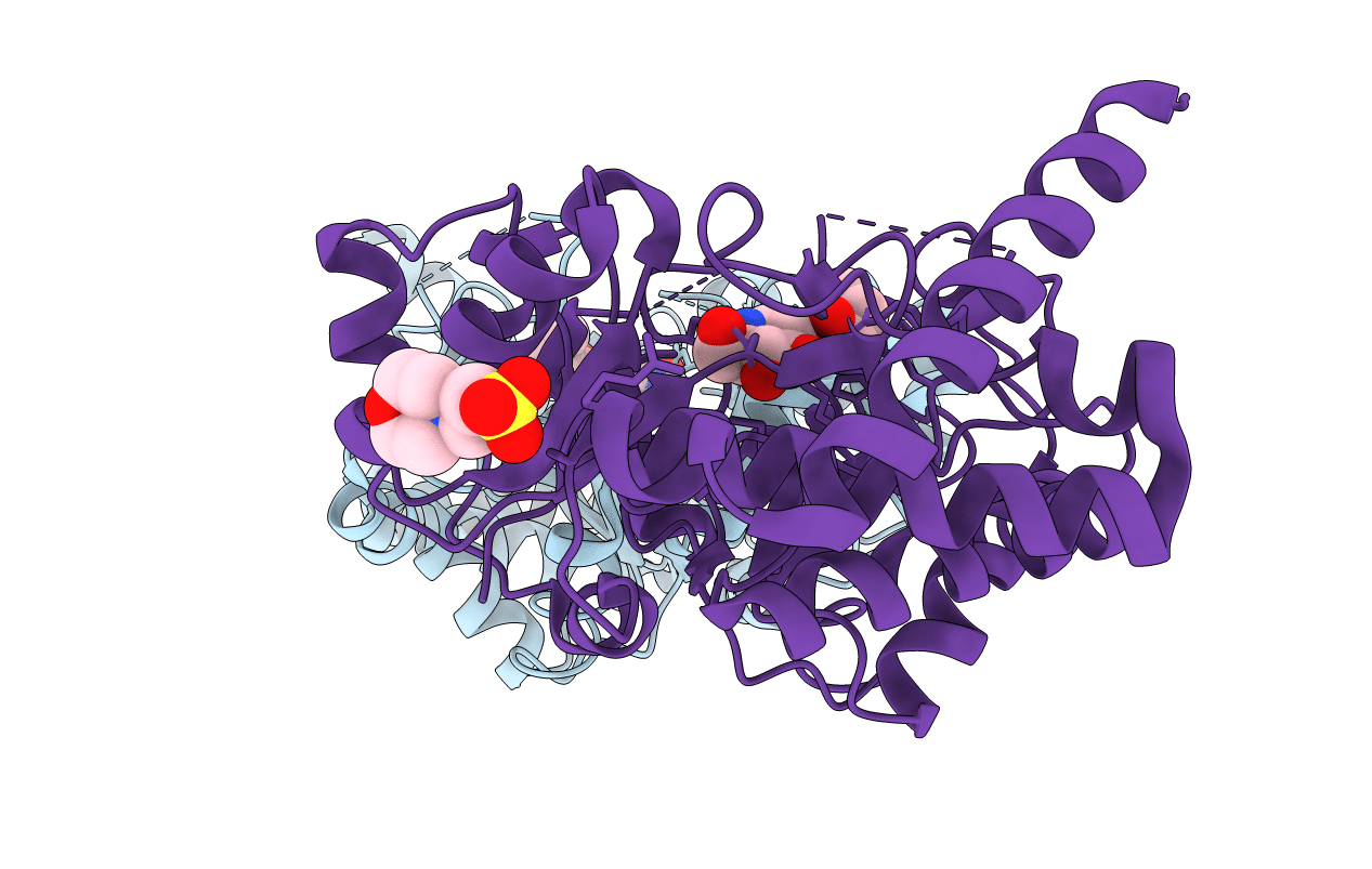 4HZM image