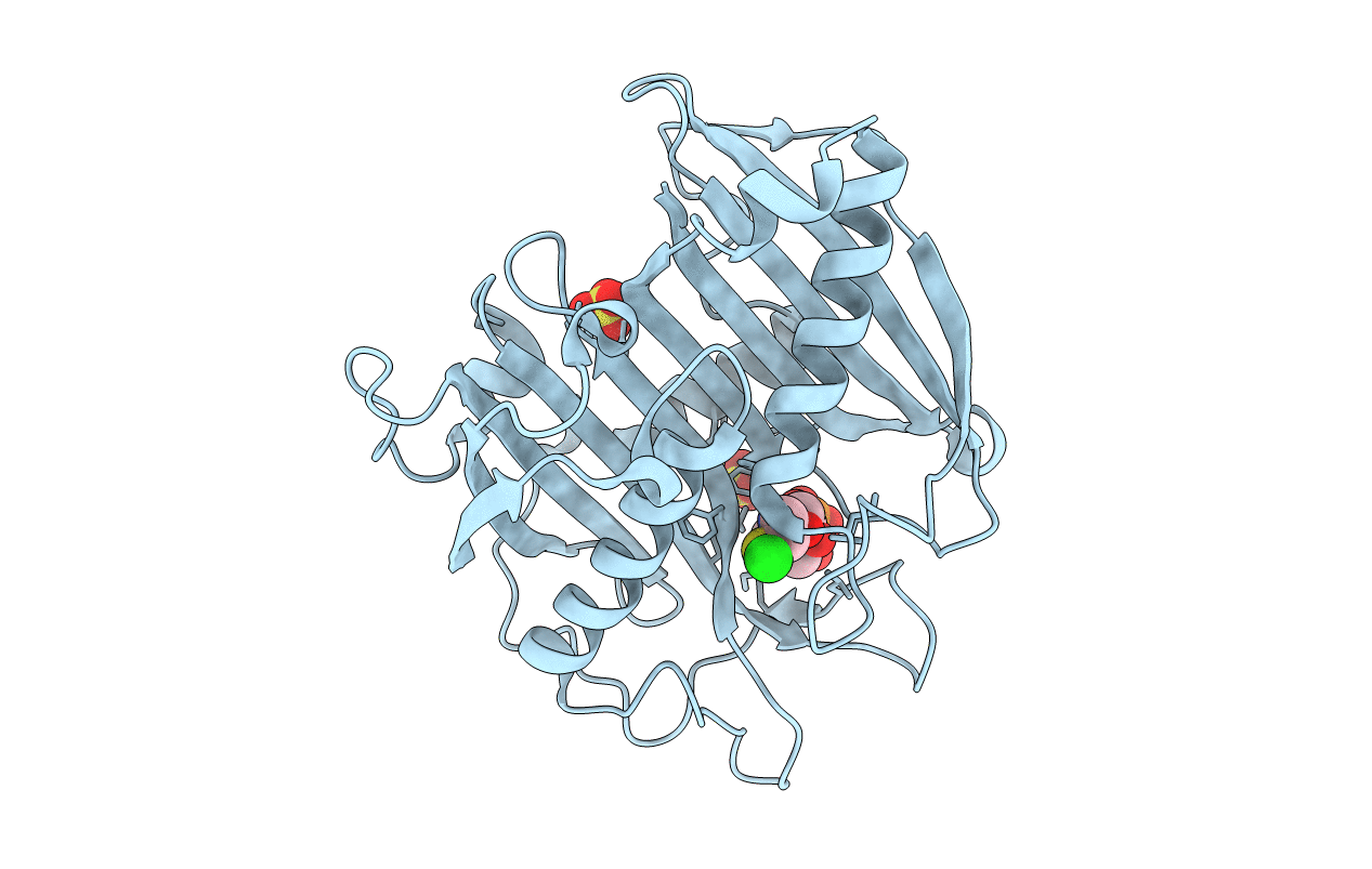 4HZP image