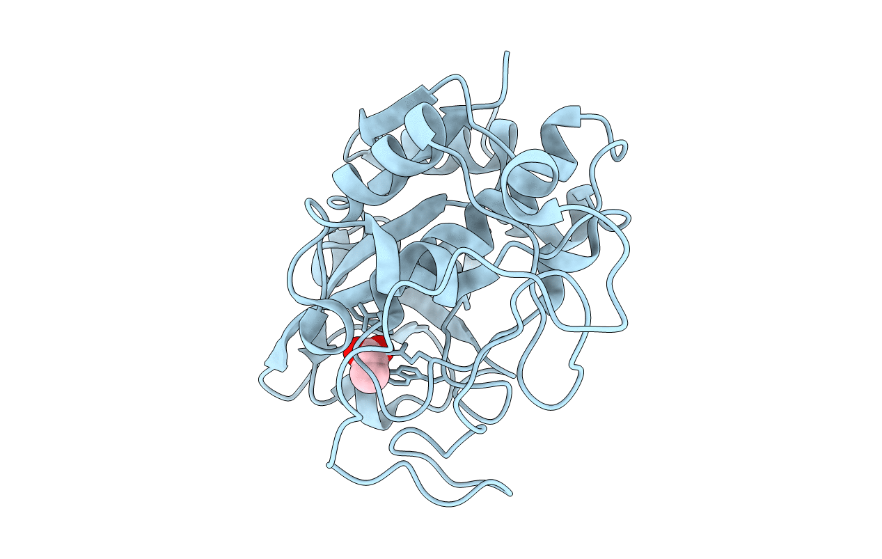 4I07 image