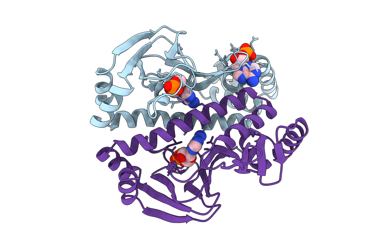 4I0B image