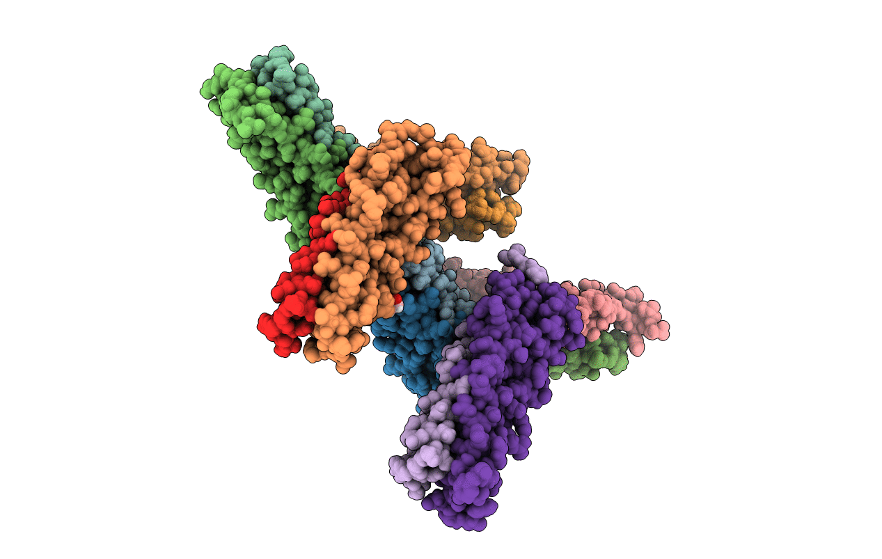 4I0X image