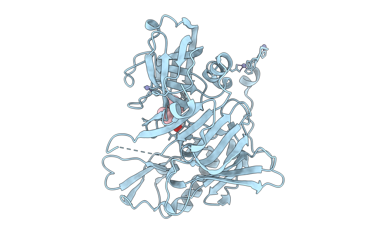 4I11 image