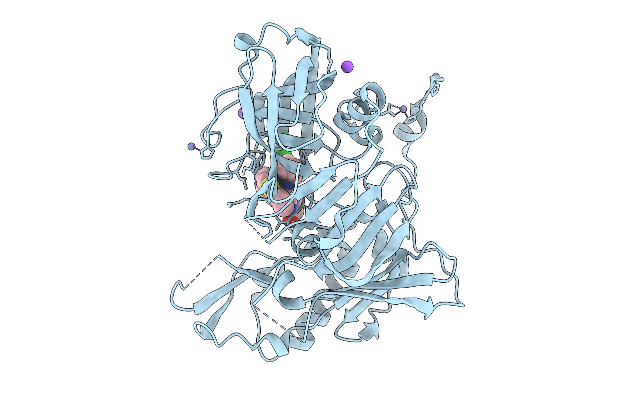 4I12 image