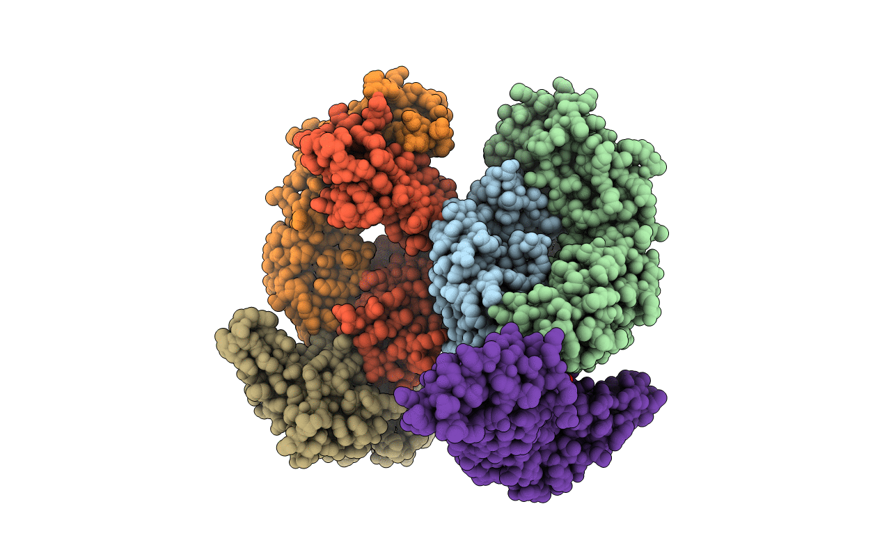 4I18 image
