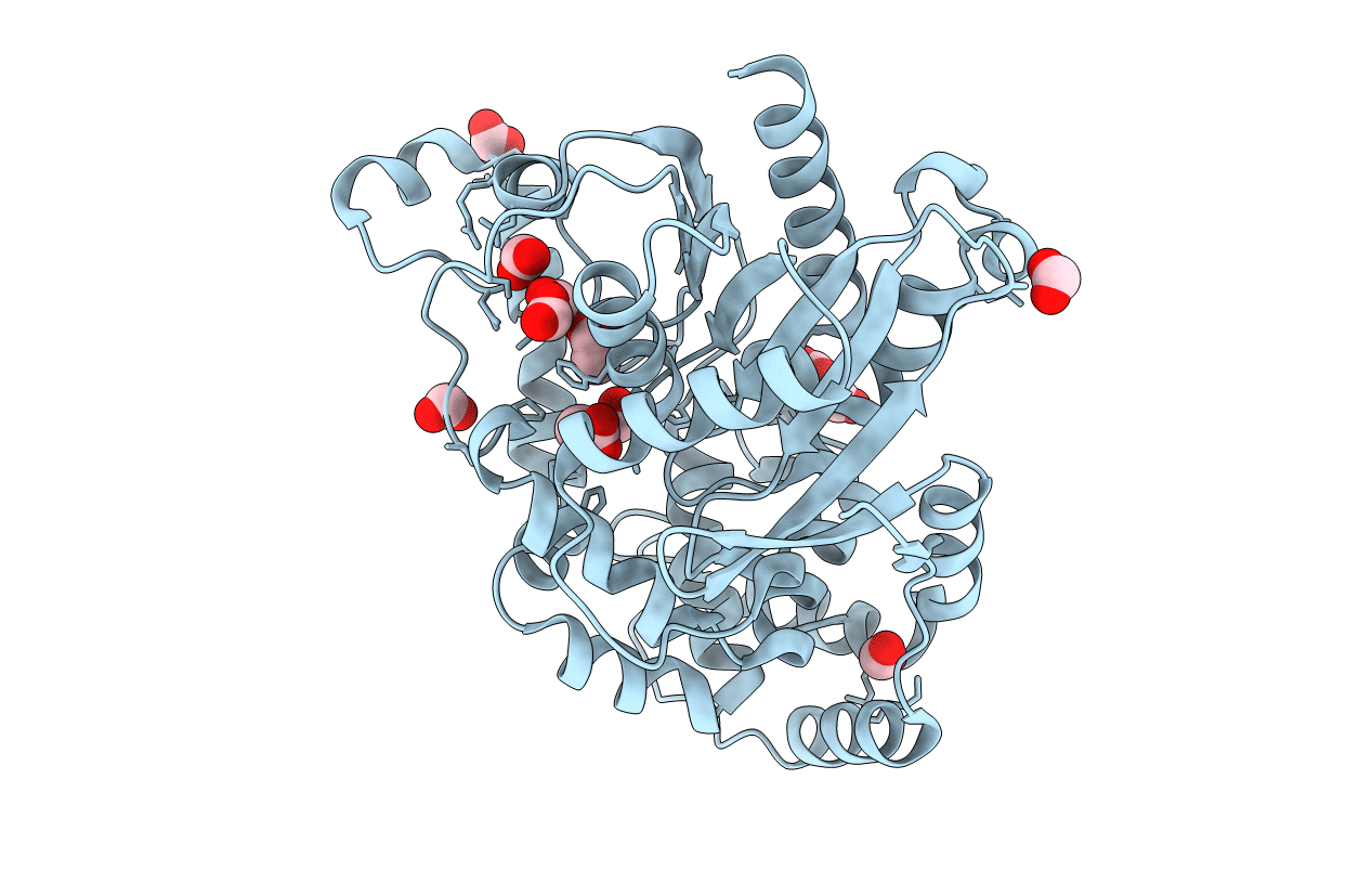 4I19 image