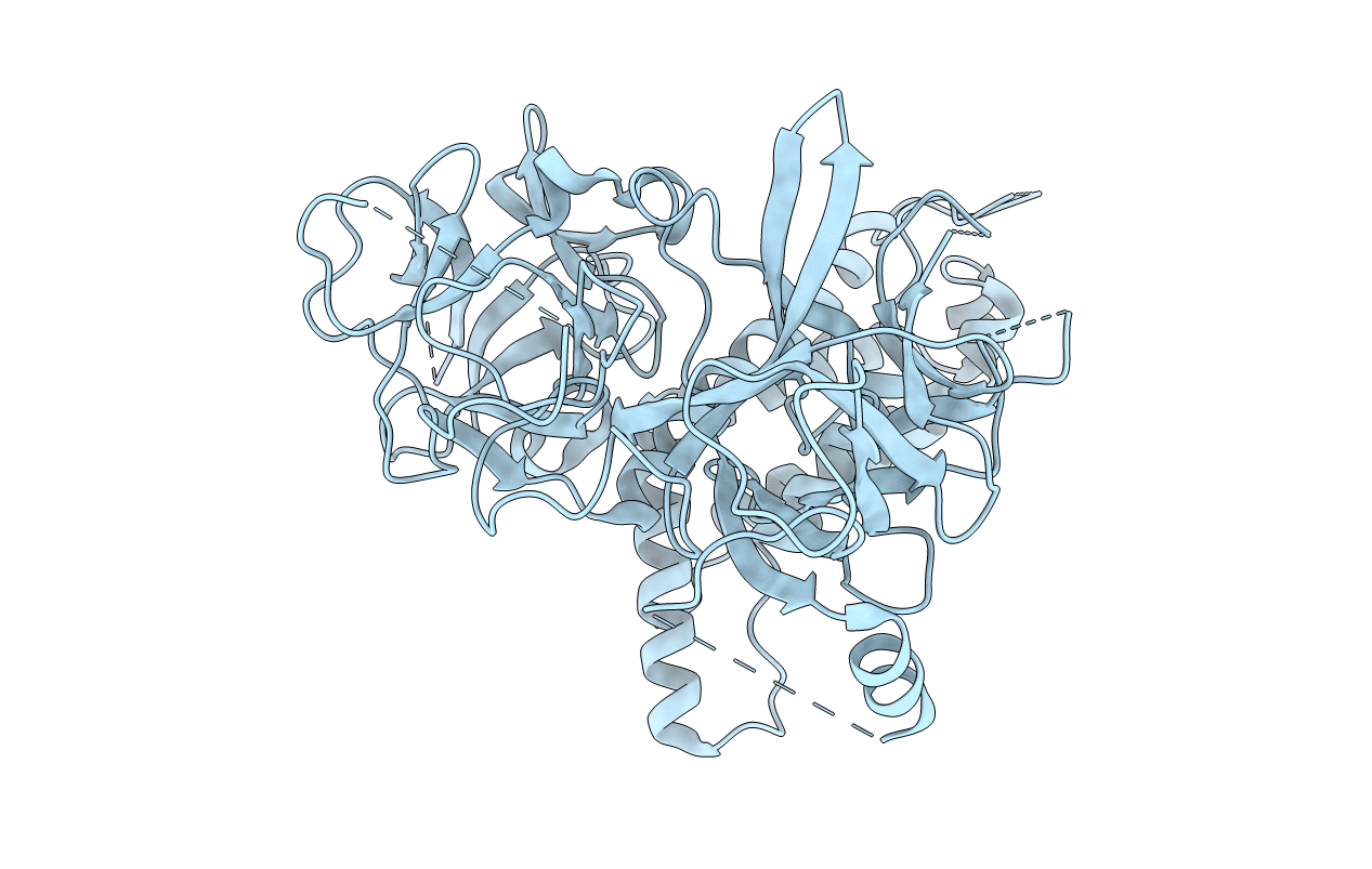 4I1E image