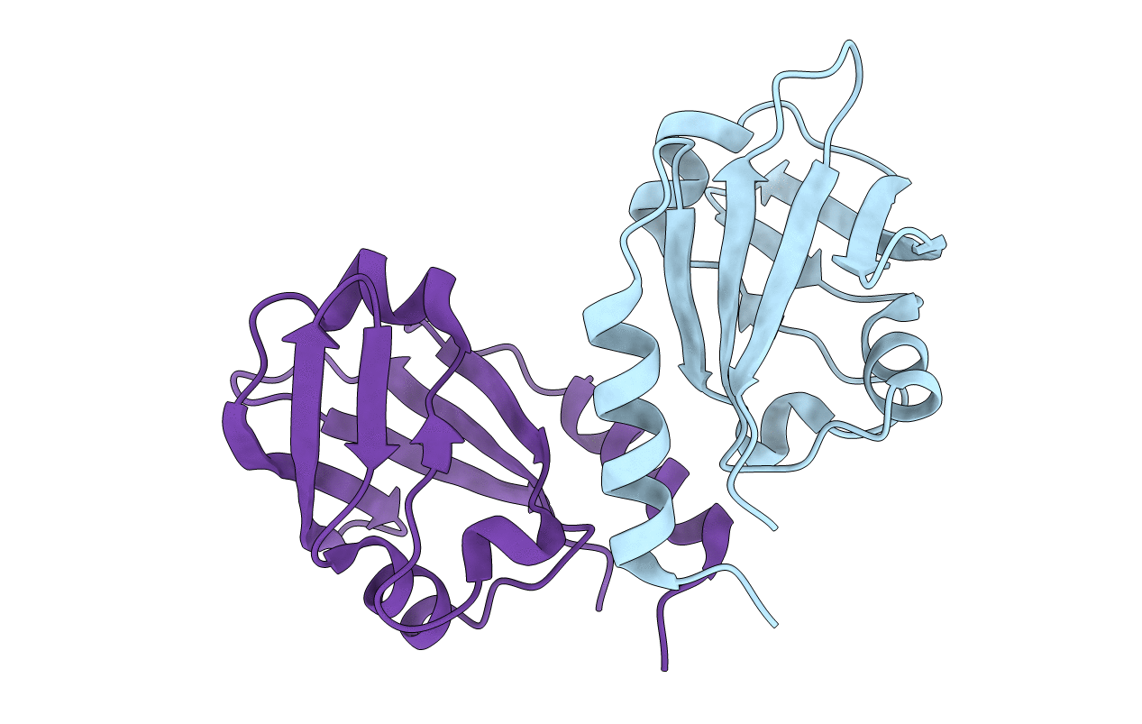 4I1K image