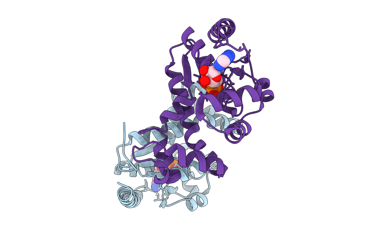 4I1V image