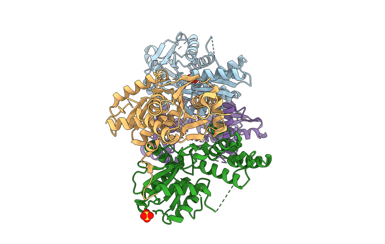 4I1Y image