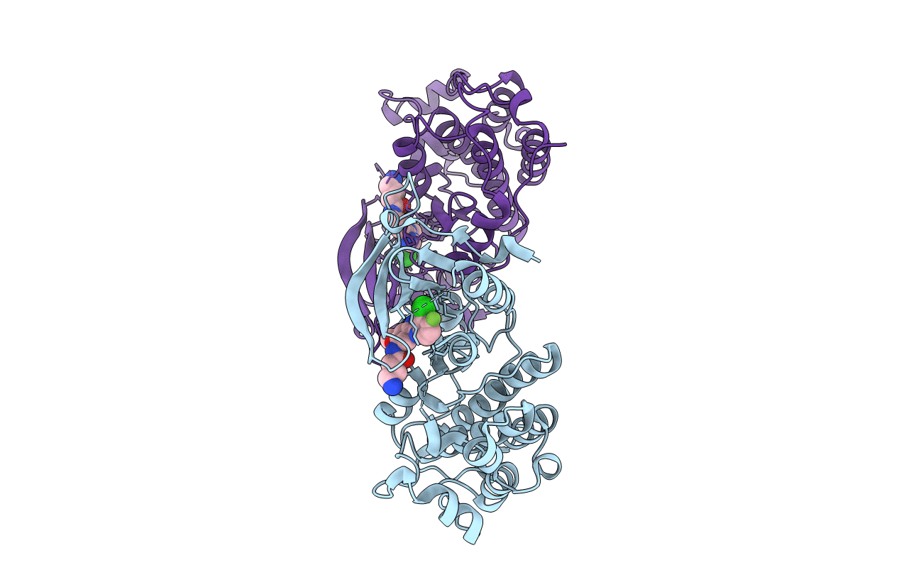 4I24 image