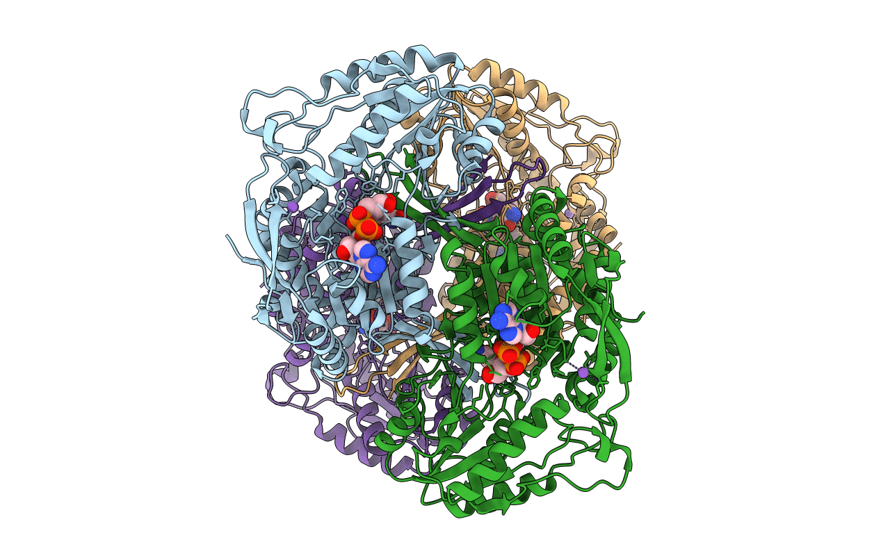 4I25 image