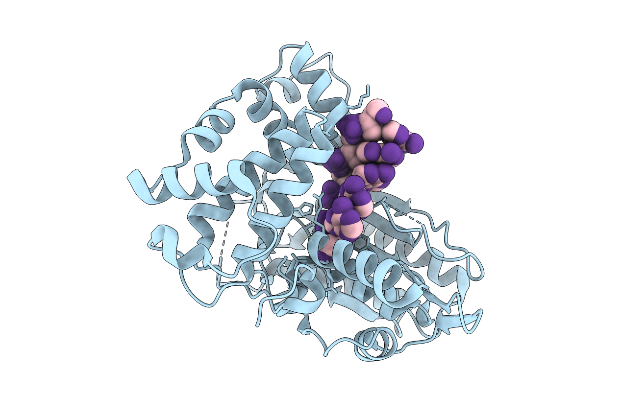4I28 image