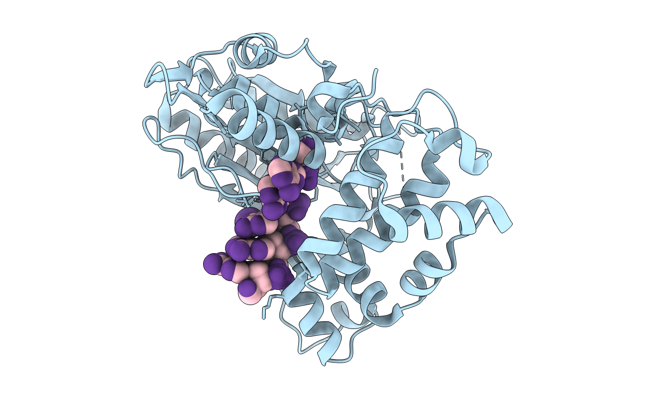 4I29 image