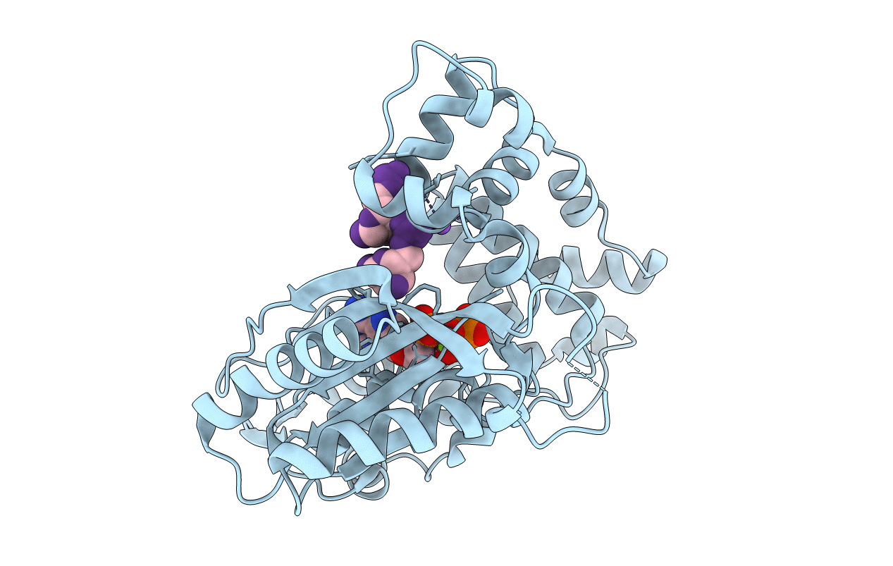4I2B image