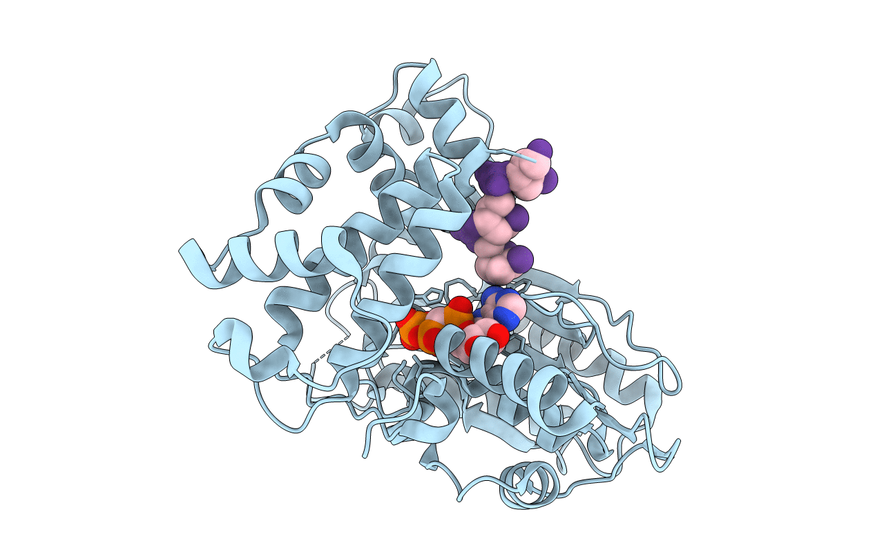 4I2C image