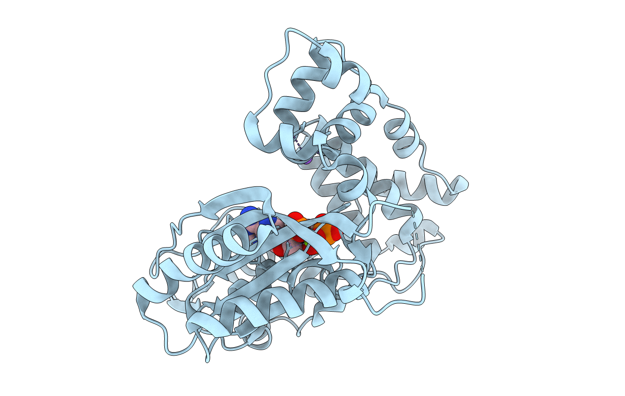 4I2D image