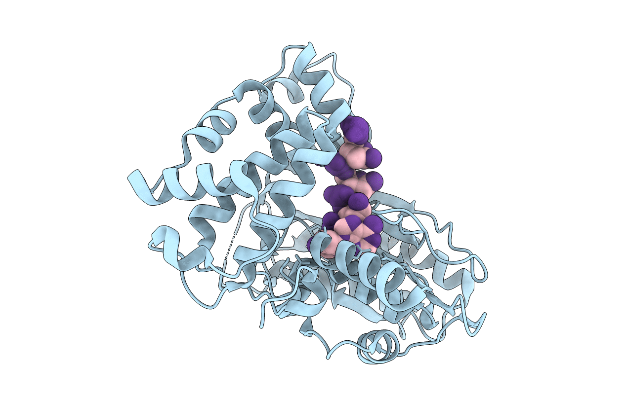 4I2G image