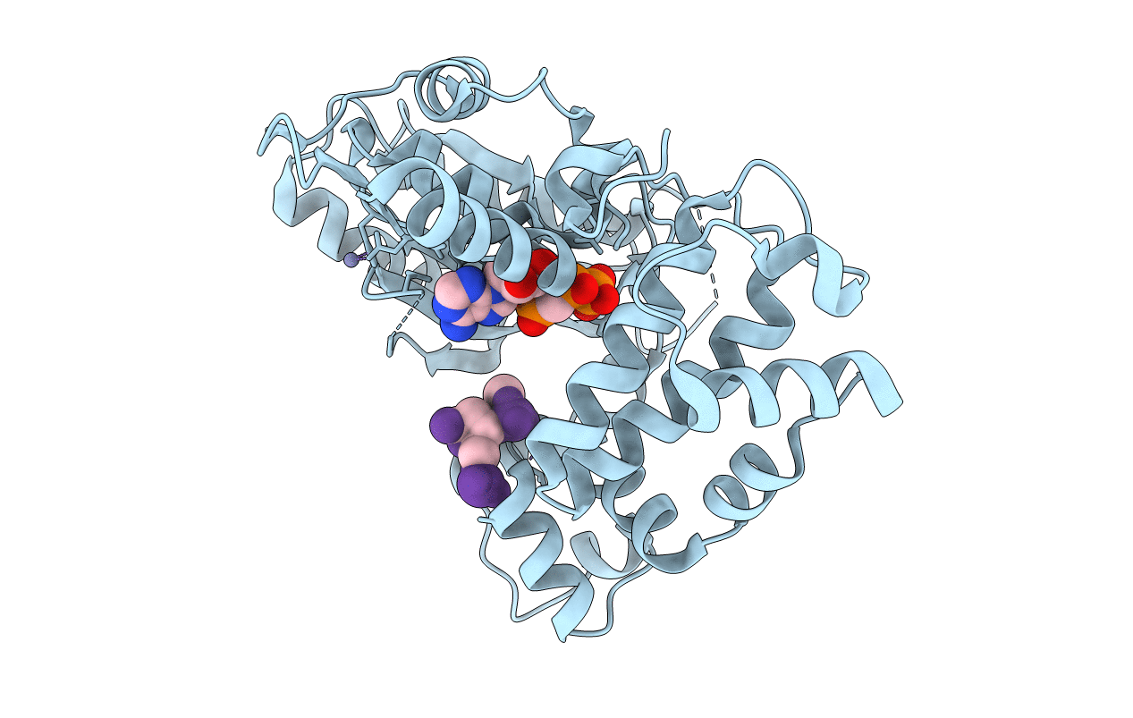 4I2H image