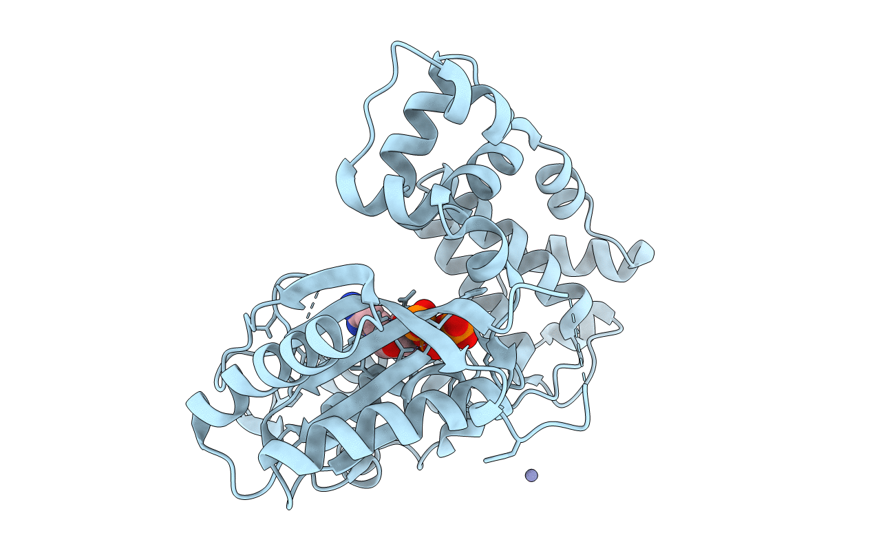 4I2J image