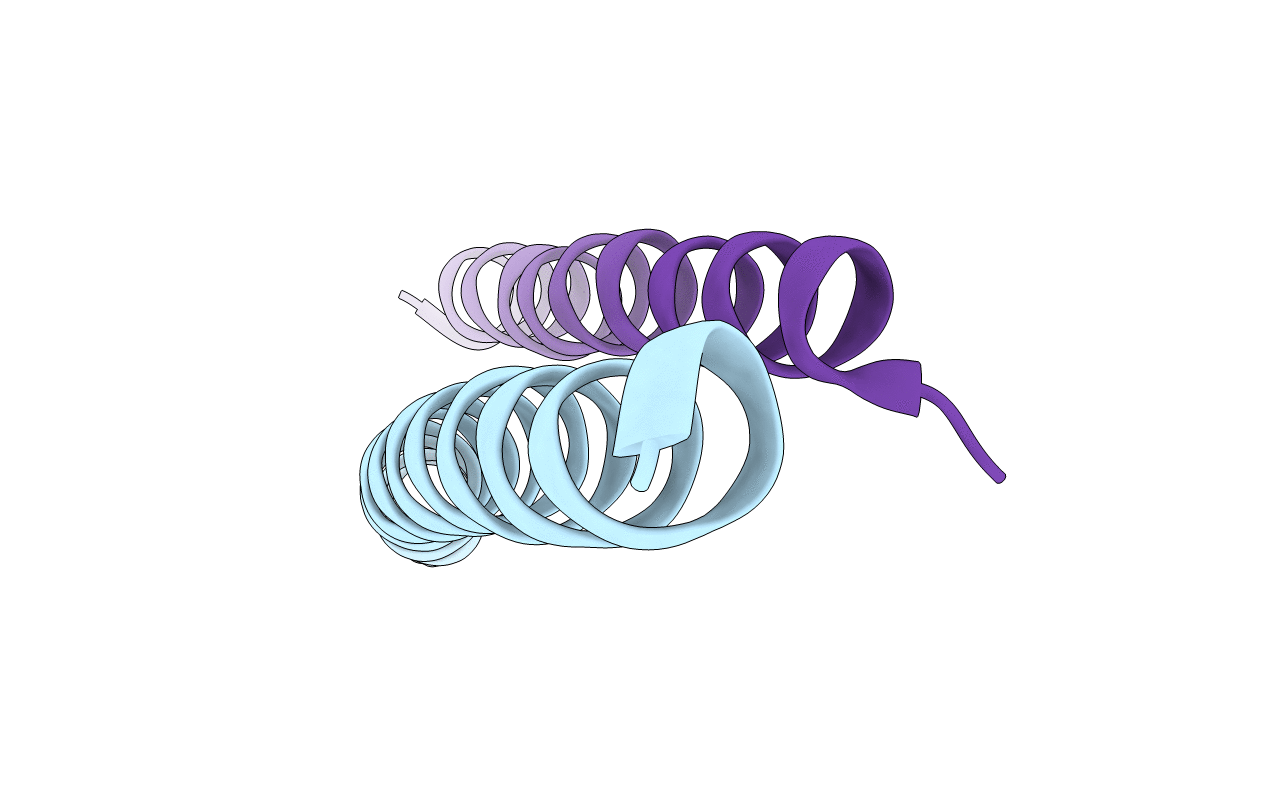 4I2L image