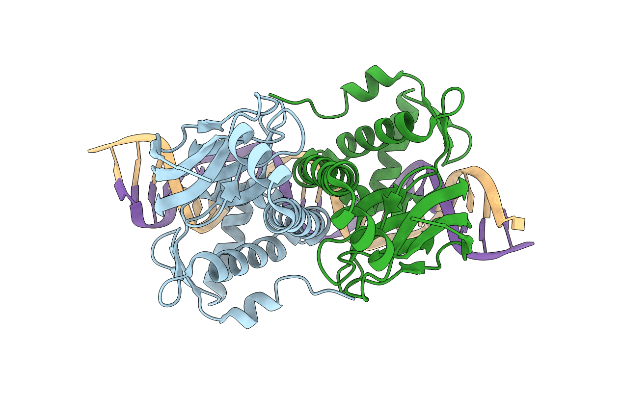 4I2O image