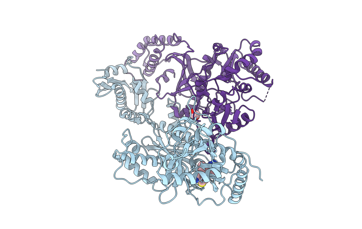 4I2Q image