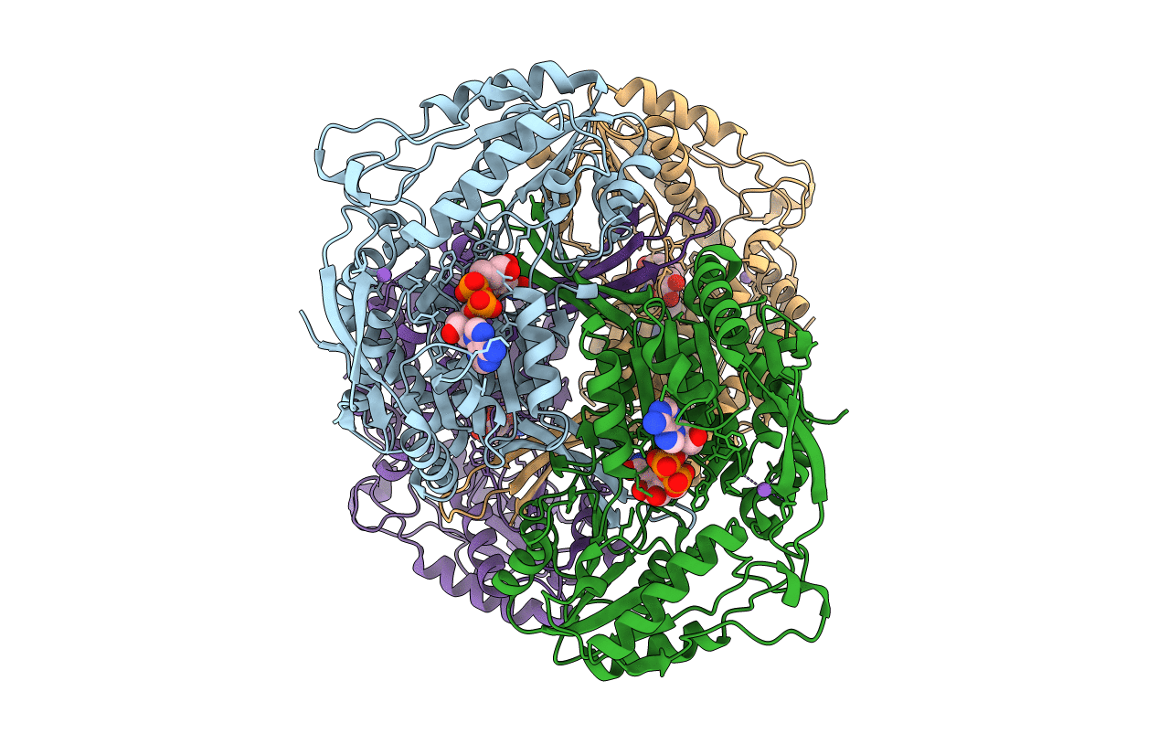 4I2R image