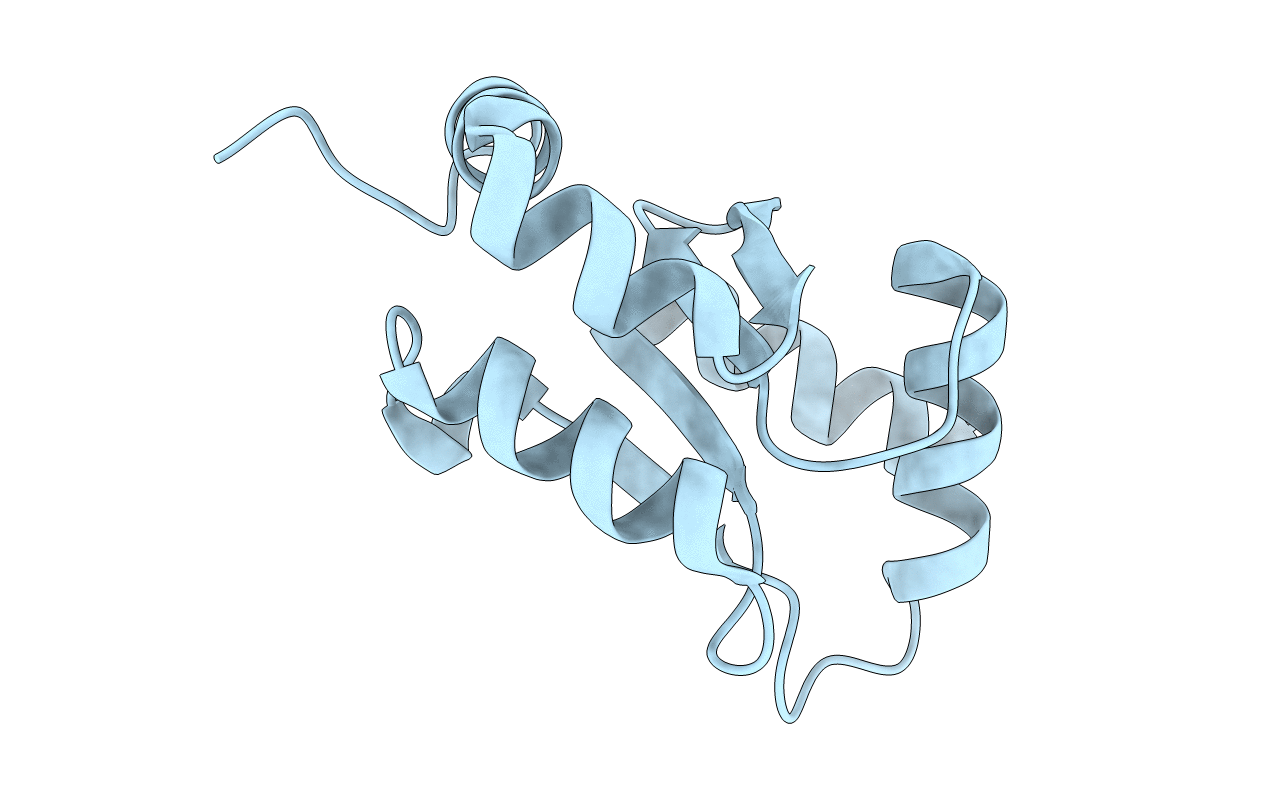 4I2T image