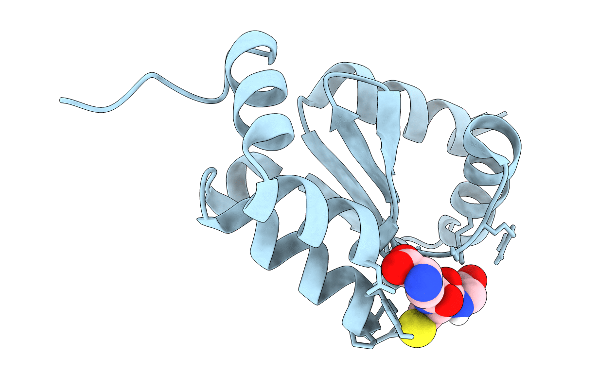 4I2U image