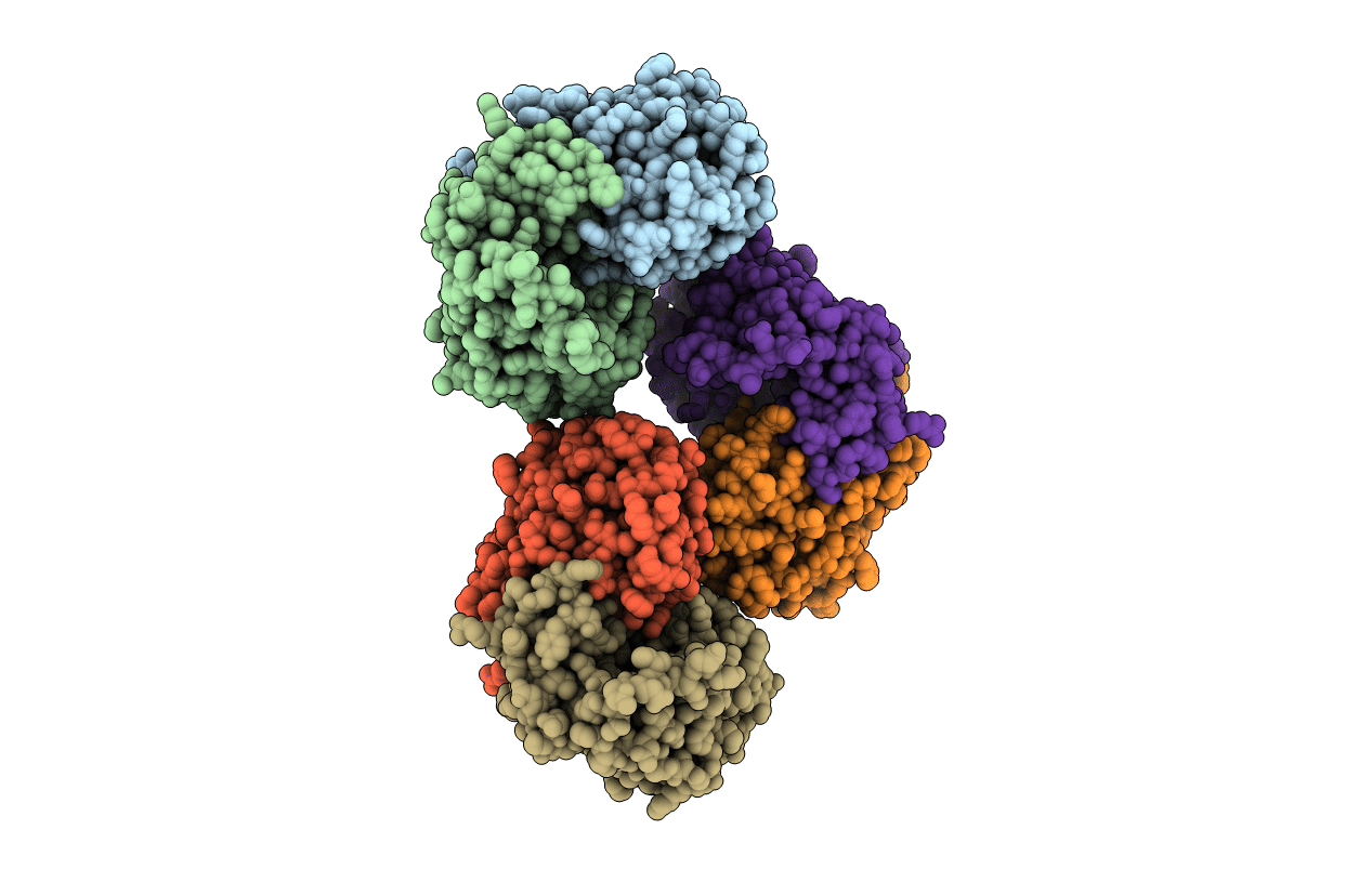 4I2V image