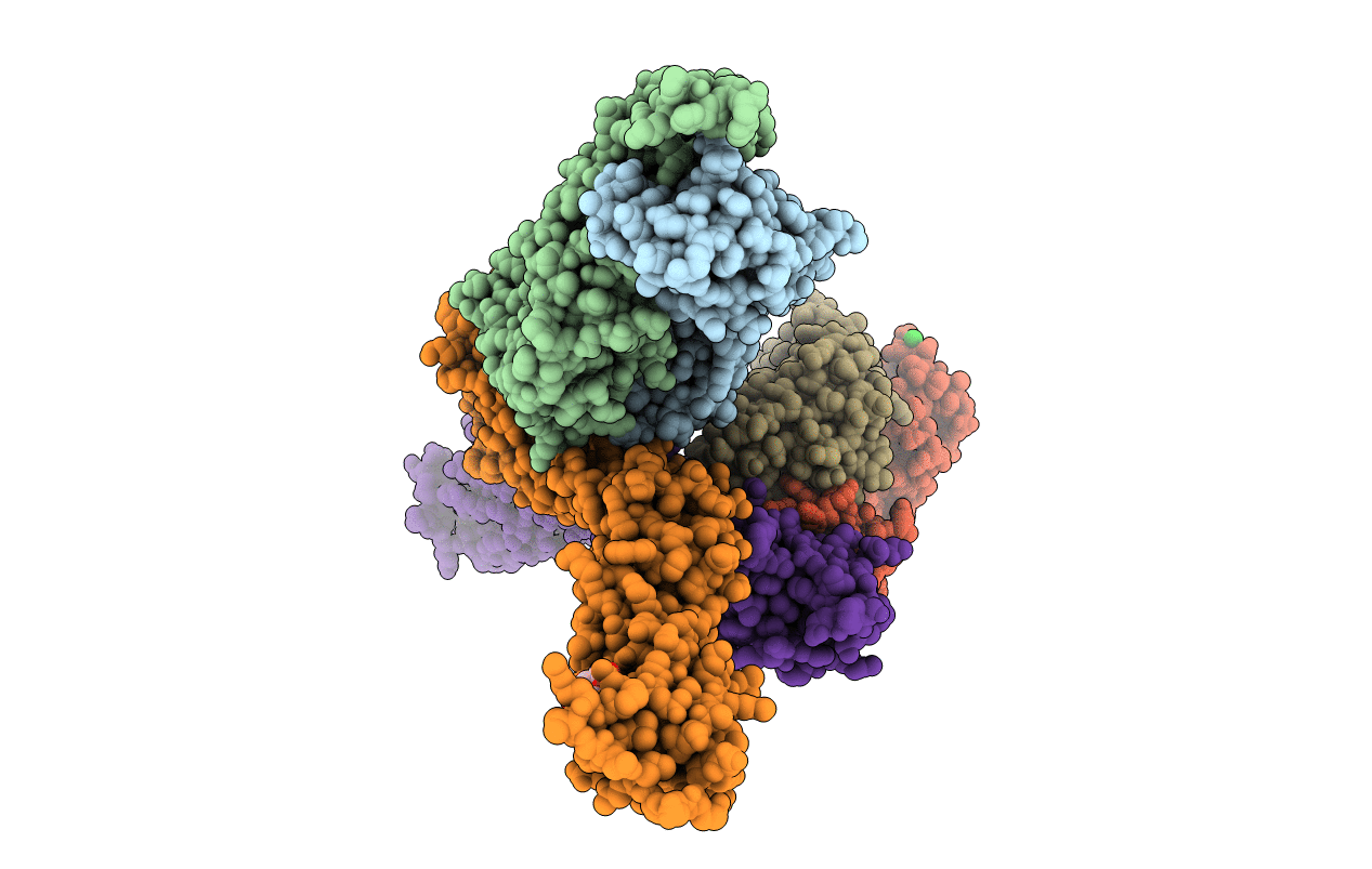 4I2X image