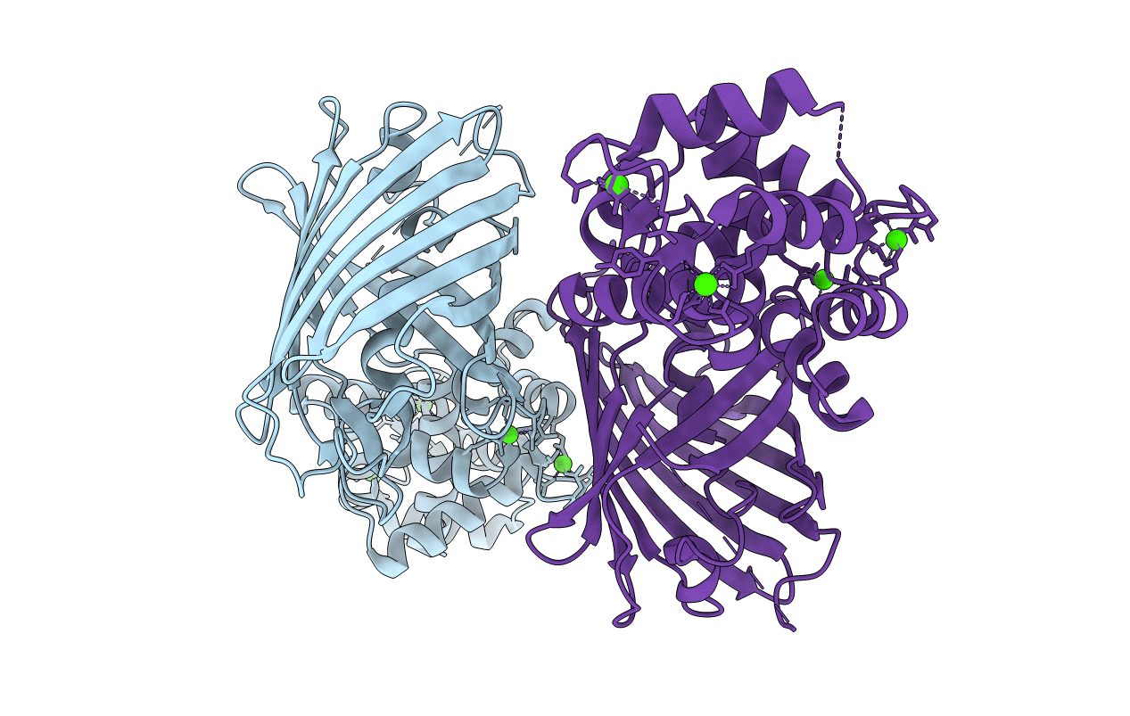 4I2Y image