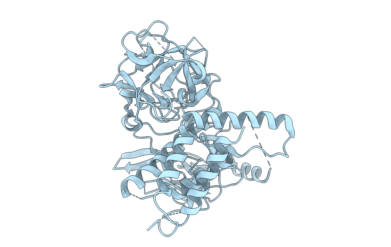 4I37 image