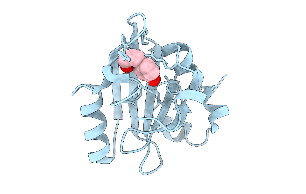 4I3A image